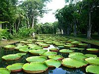 Mauritius 